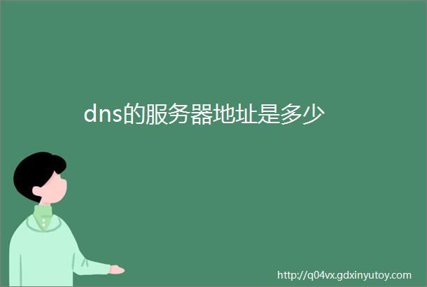 dns的服务器地址是多少